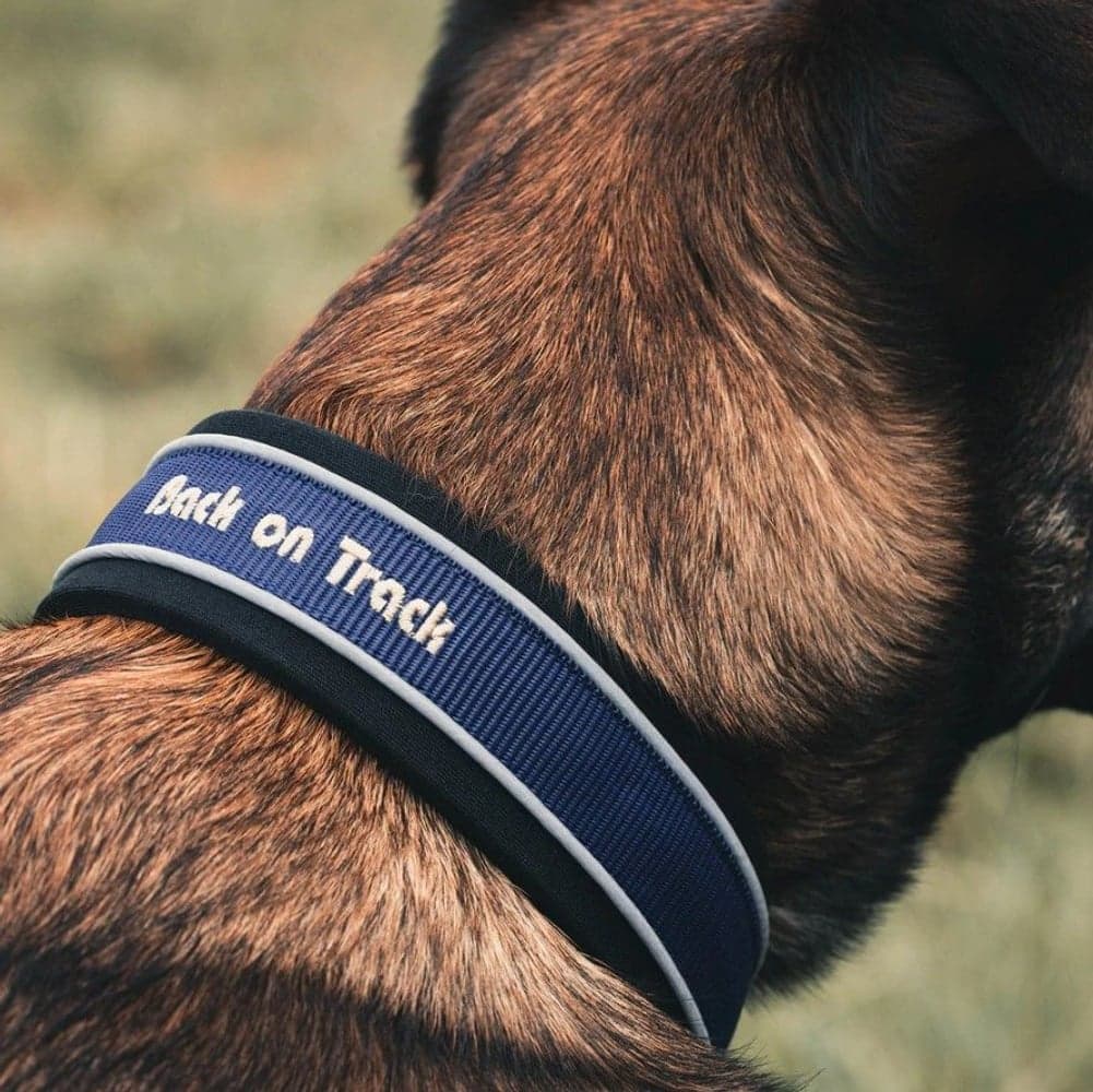 Back on Track Charlie Hundehalsbånd Blå 40-50 cm, view: 1