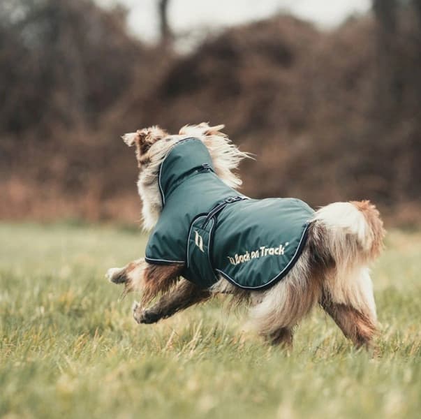 Back on Track Sunny Hundedekken Fôret Grønn 40-50 cm, view: 1