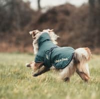 Back on Track Sunny Hundedekken Fôret Grønn 70-80 cm - view: 1