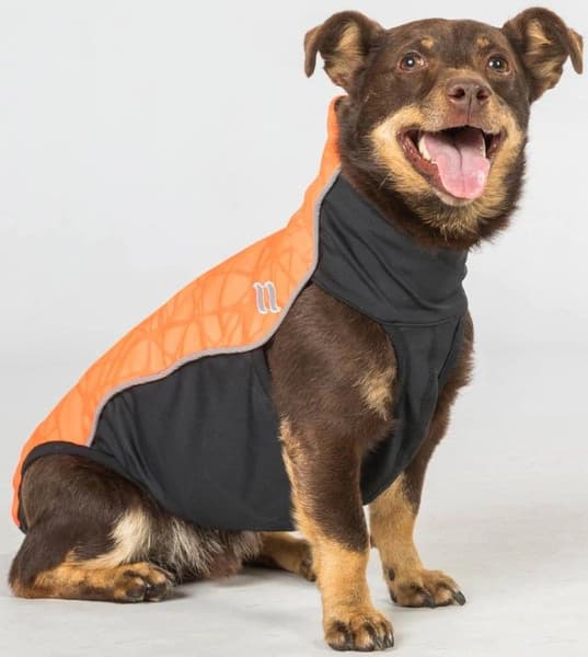 Back on Track Hundedekken Eddie Småhunder Orange 30-35 cm, view: 2