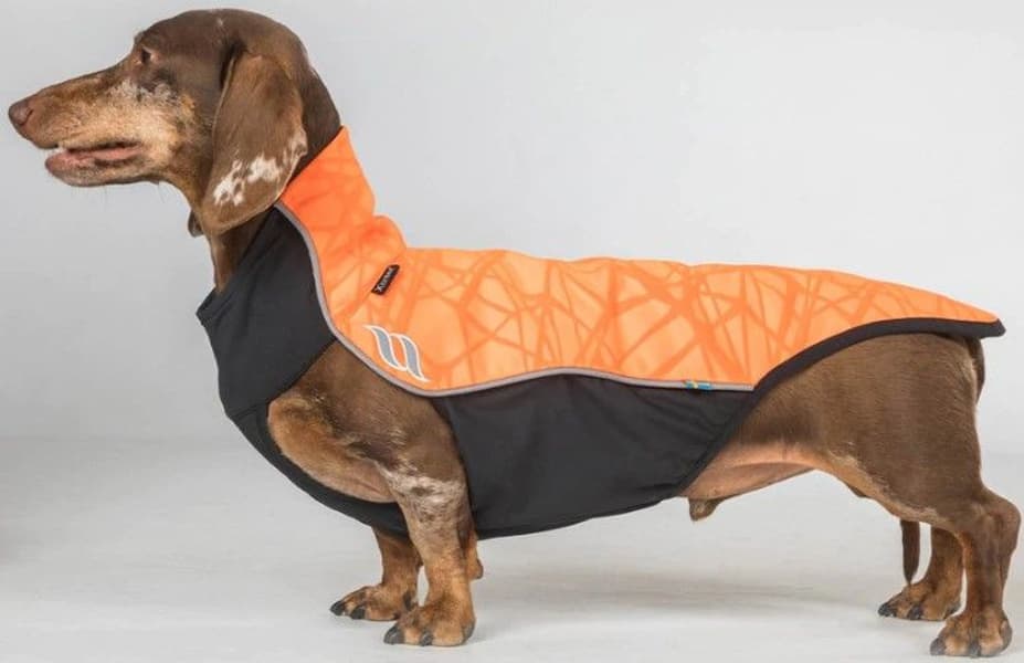 Back on Track Hundedekken Eddie Småhunder Orange 30-35 cm, view: 1