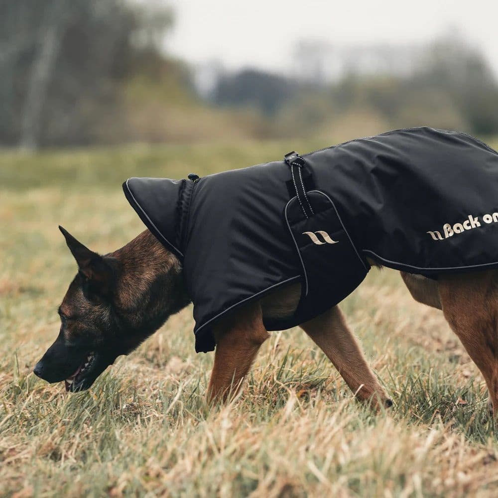 Back on Track Stanley Regndekken til hund Foret Svart 55-65 cm, view: 2