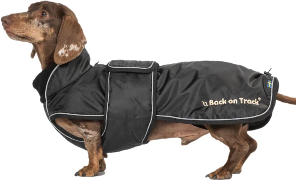 Back on Track Buddy Hundedekken med lang rygg, Svart 28-44 cm, view: 1