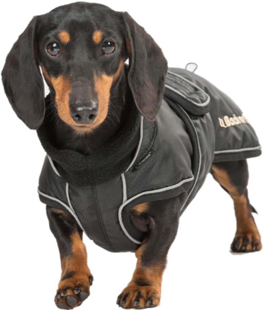 Back on Track Buddy Hundedekken med lang rygg, Svart 28-44 cm, view: 2