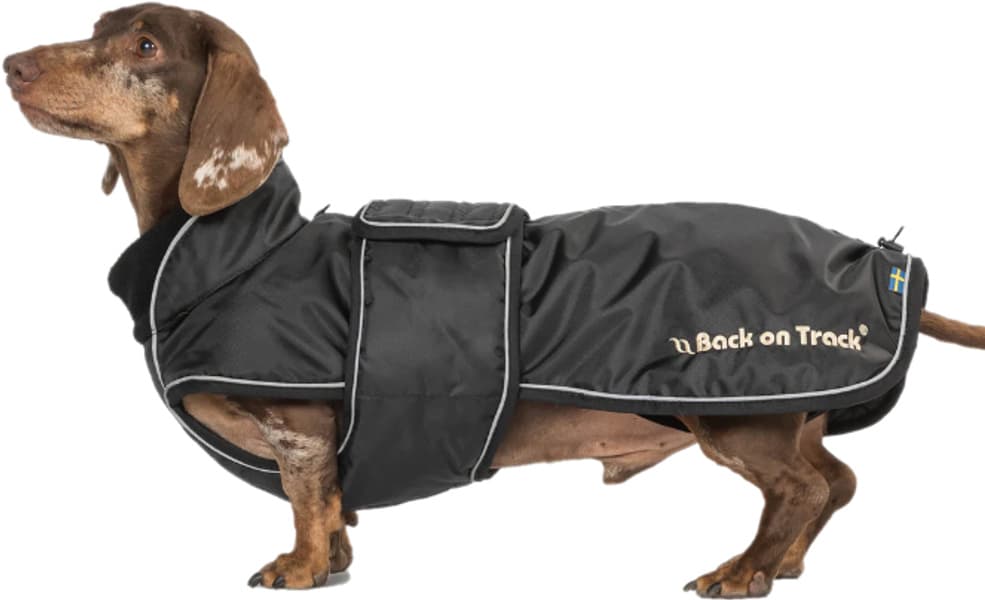 Back on Track Buddy Hundedekken med lang rygg, Svart 50-68 cm, view: 1