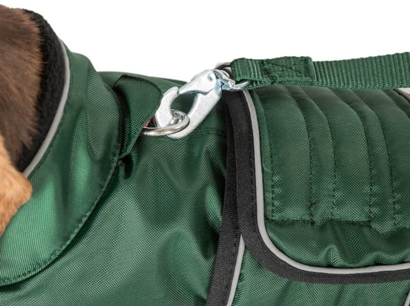 Back on Track Buddy Hundedekken med lang rygg, Svart 50-68 cm, view: 3