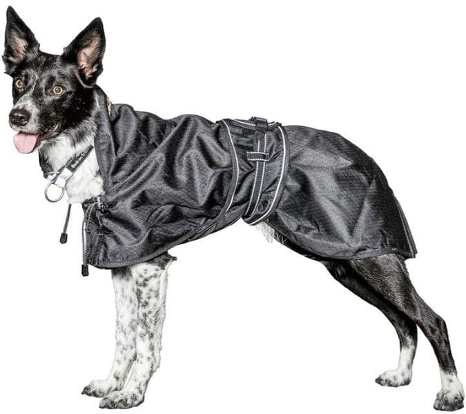 Back on Track Hunderegndekken uten fylling Svart 43-59 cm, view: 1