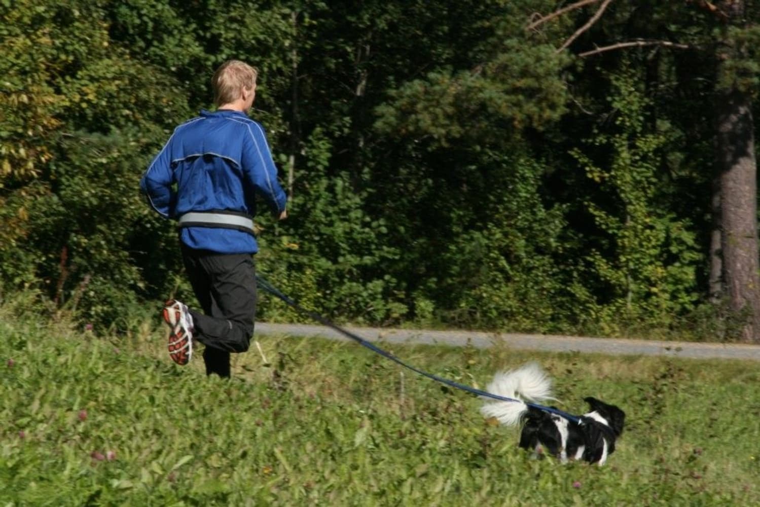 Softbelt Reflex, view: 2