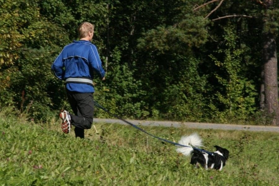 Produktbilde