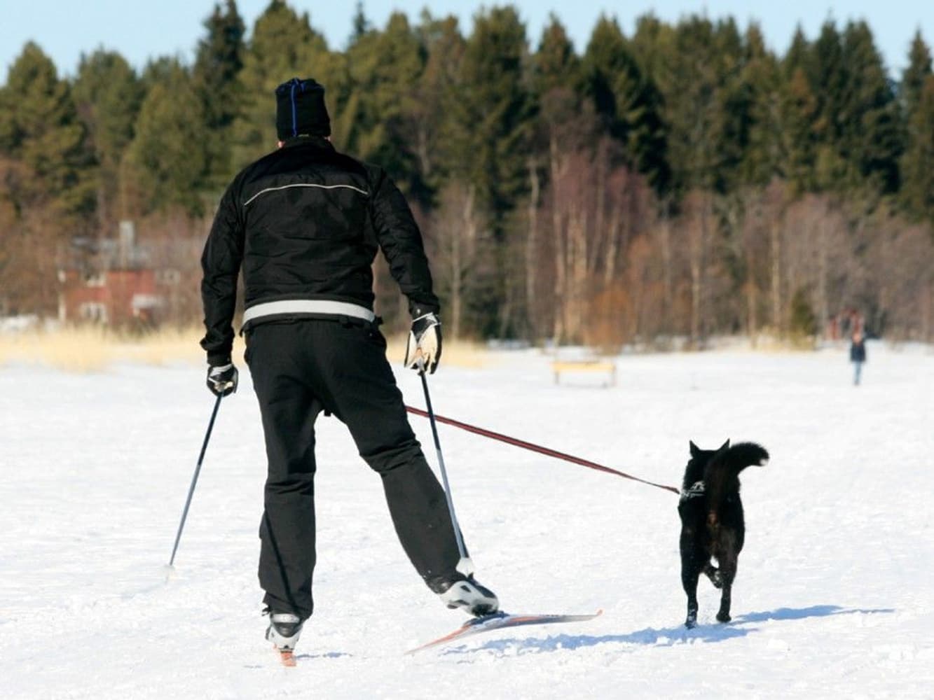 Softbelt Reflex, view: 1