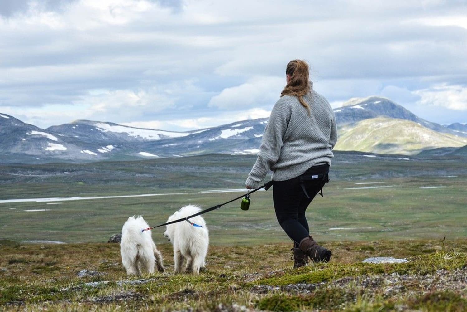 Softbelt Race Grå, view: 3