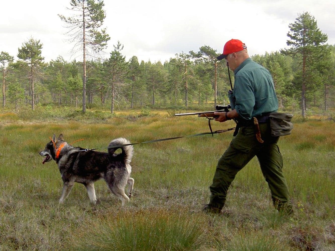 Softbelt Vildmark, view: 1