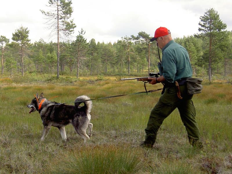 Softbelt Vildmark, view: 1