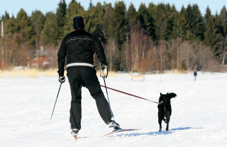 Softbelt Reflex Gul, view: 1