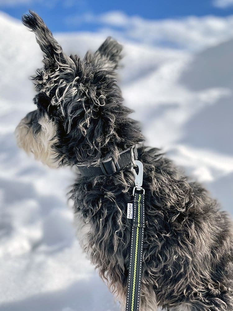 Expanderkoppel Reflex/Antiglid 2,2m BGB, view: 2