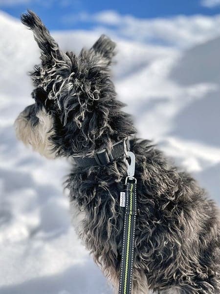 Expanderkoppel Reflex/Antiglid 2,8m BGB, view: 2