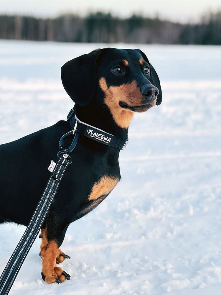 Expanderkoppel Reflex/Antiglid 1,8m Twistlock, view: 2