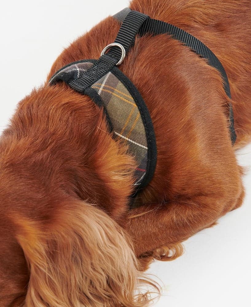 Tar Dog Harness Classic Tartan, view: 4