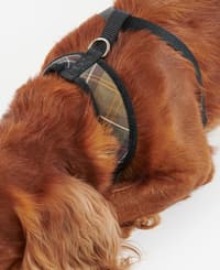 Tar Dog Harness Classic Tartan - view: 4