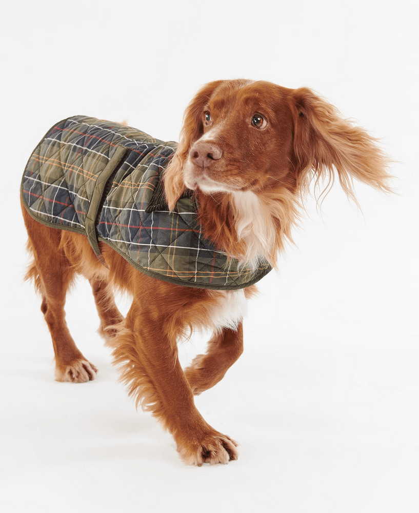 Tartan Dog Coat Classic Tartan, view: 2