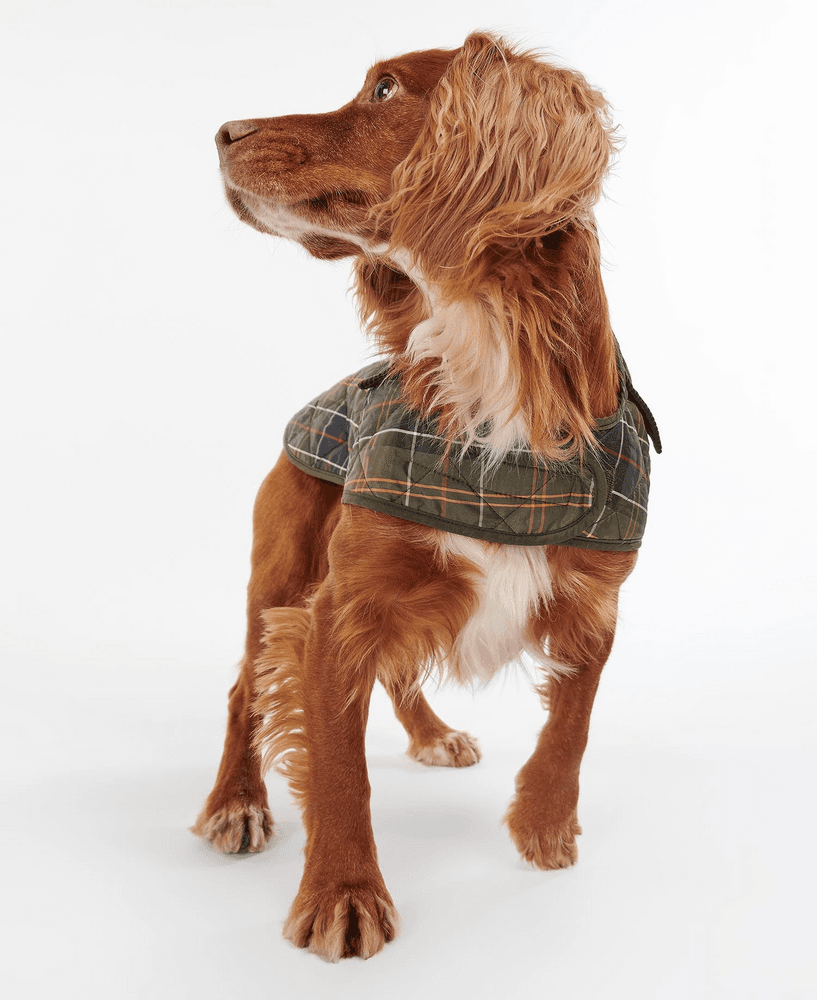 Tartan Dog Coat Classic Tartan, view: 3