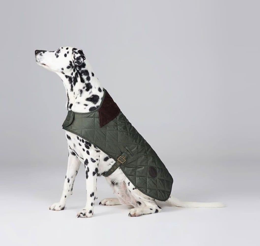 Quilted Dog Coat Olive, view: 5