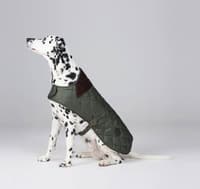 Quilted Dog Coat Olive - view: 5