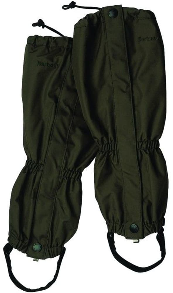 Endurance Gaiter Olive, view: 0