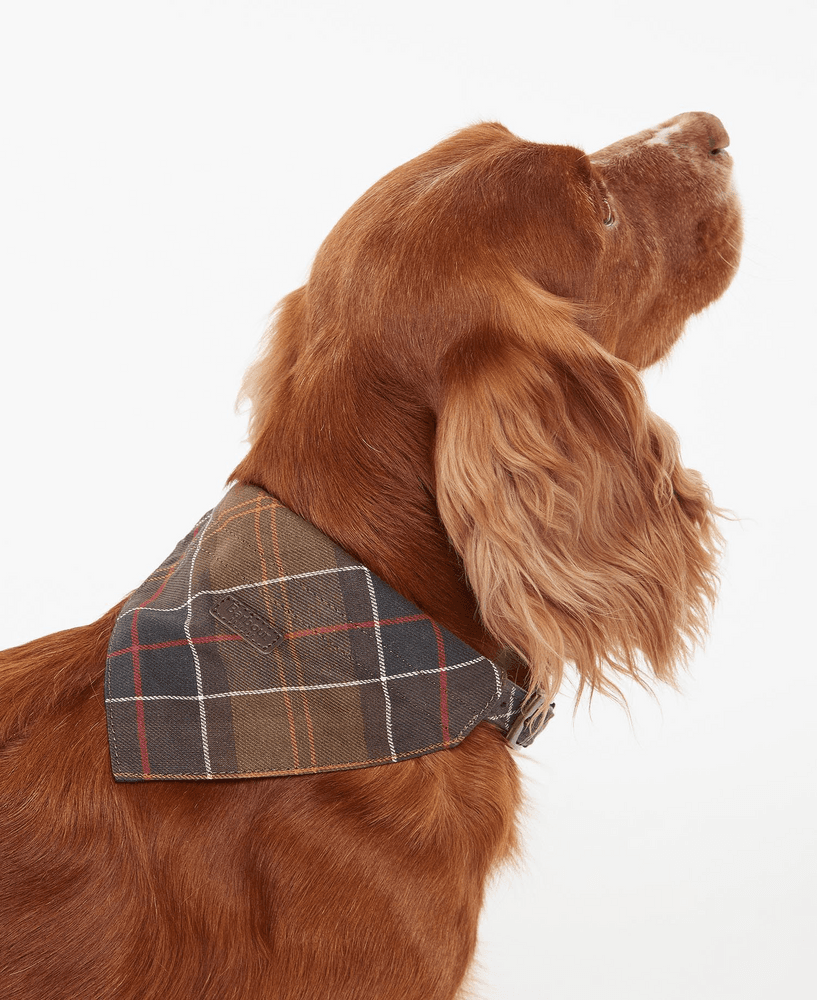 Tartan Dog Bandana Classic Tartan, view: 1