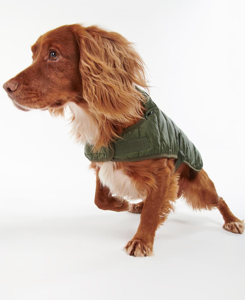 Baffle Quilt Dog Coat Olive, view: 5