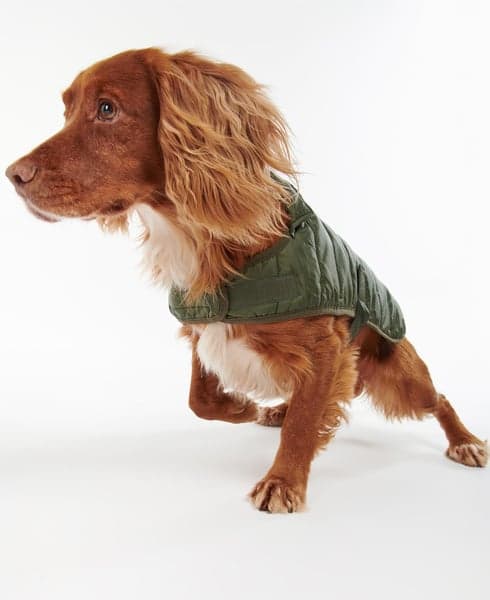 Baffle Quilt Dog Coat Olive, view: 5