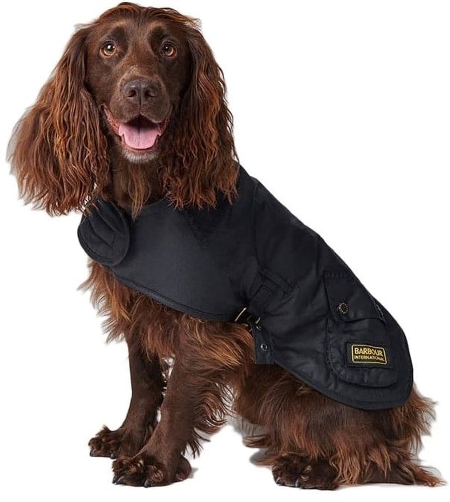 International Dog Coat Black, view: 0