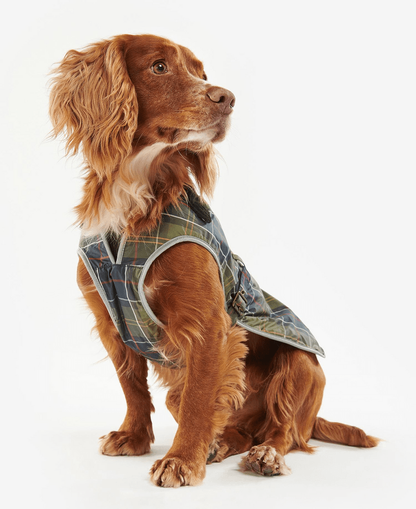 Waterproof Tartan Dog Coat Classic Tartan, view: 8