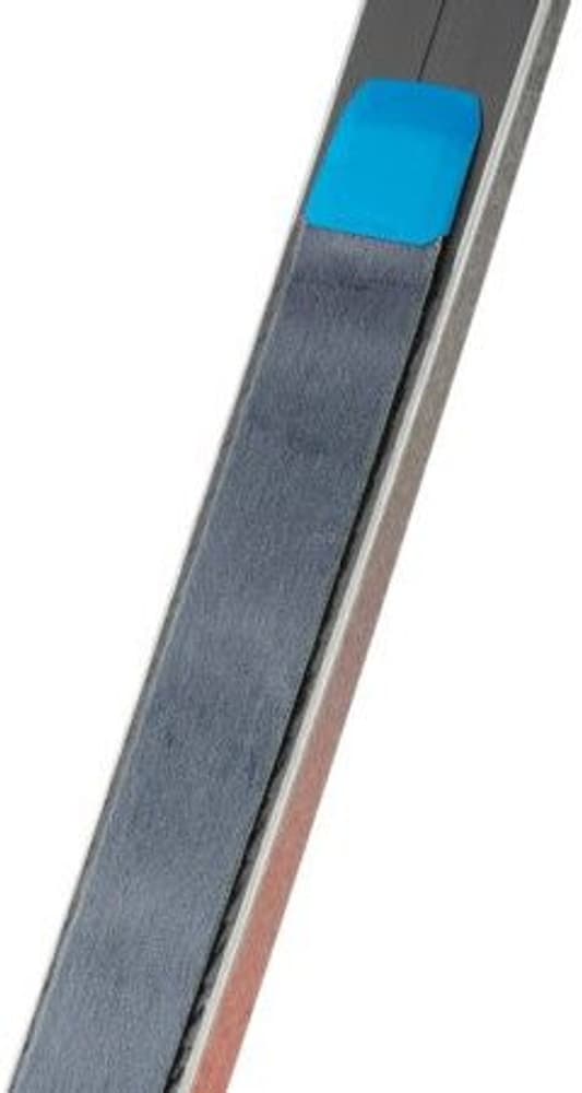 Amundsen Fram BC Ski, view: 2