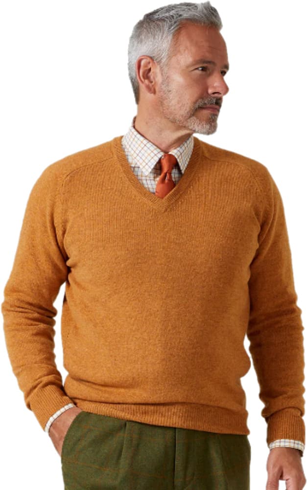 Streetly V-Neck Pullover Magma, view: 3