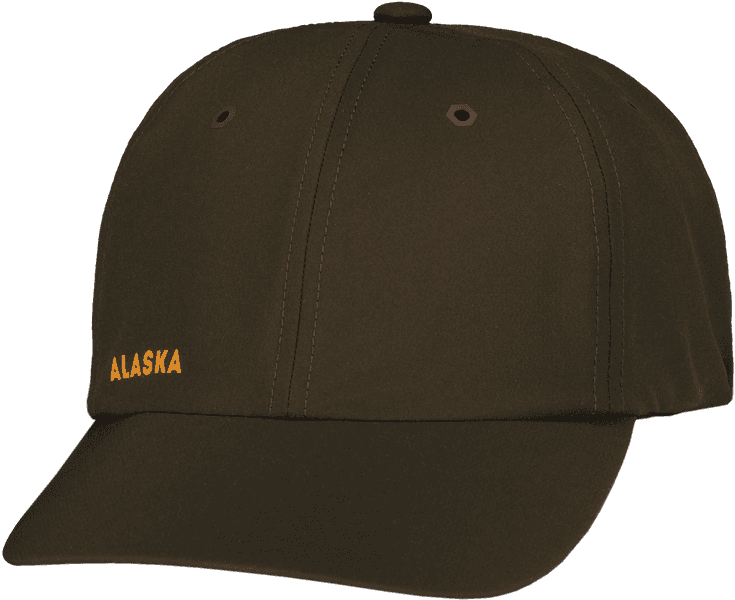 Chaser Stretch Cap Brown, view: 0