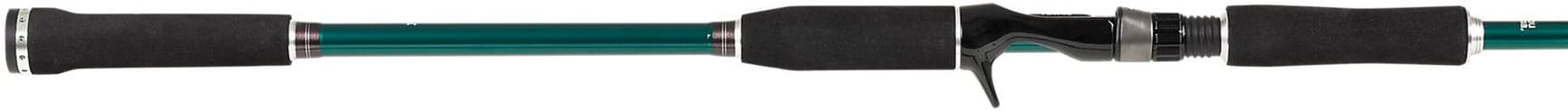 Beast X Pike 842 XH 40-140g Spinn, view: 1