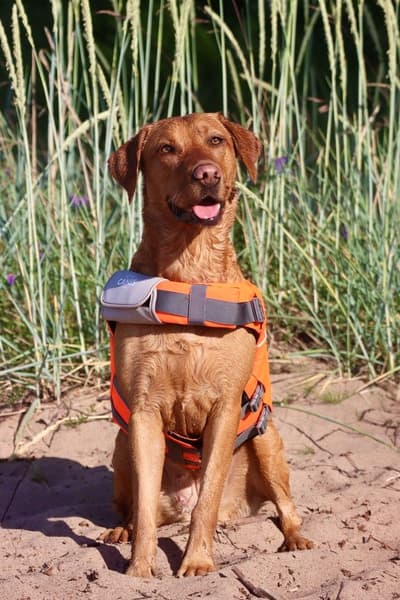Life Jacket XL-XXL, view: 2