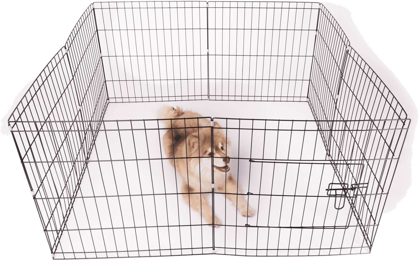 Dog Cage 122x122x61 cm, view: 1