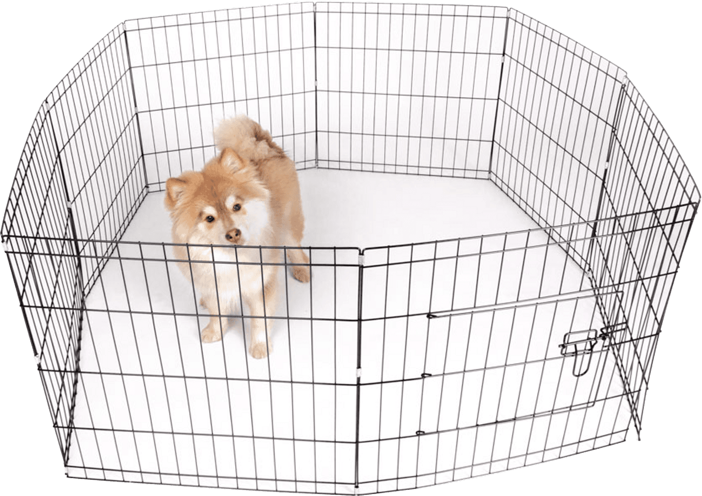 Dog Cage 122x122x61 cm, view: 2