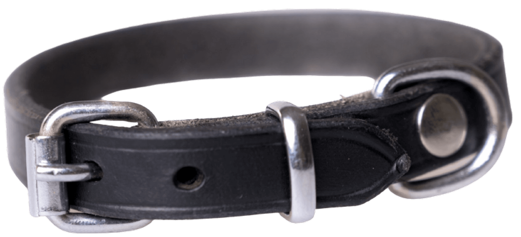 Leather Collar 55-60 cm, view: 2