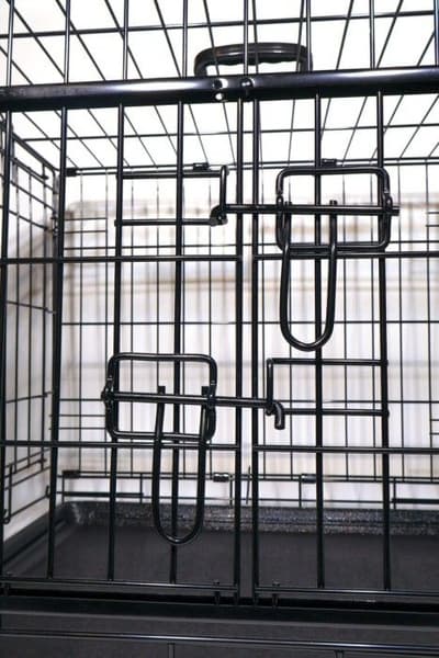 Premium Dubbeldoor Cage 61x46x51 cm, view: 3