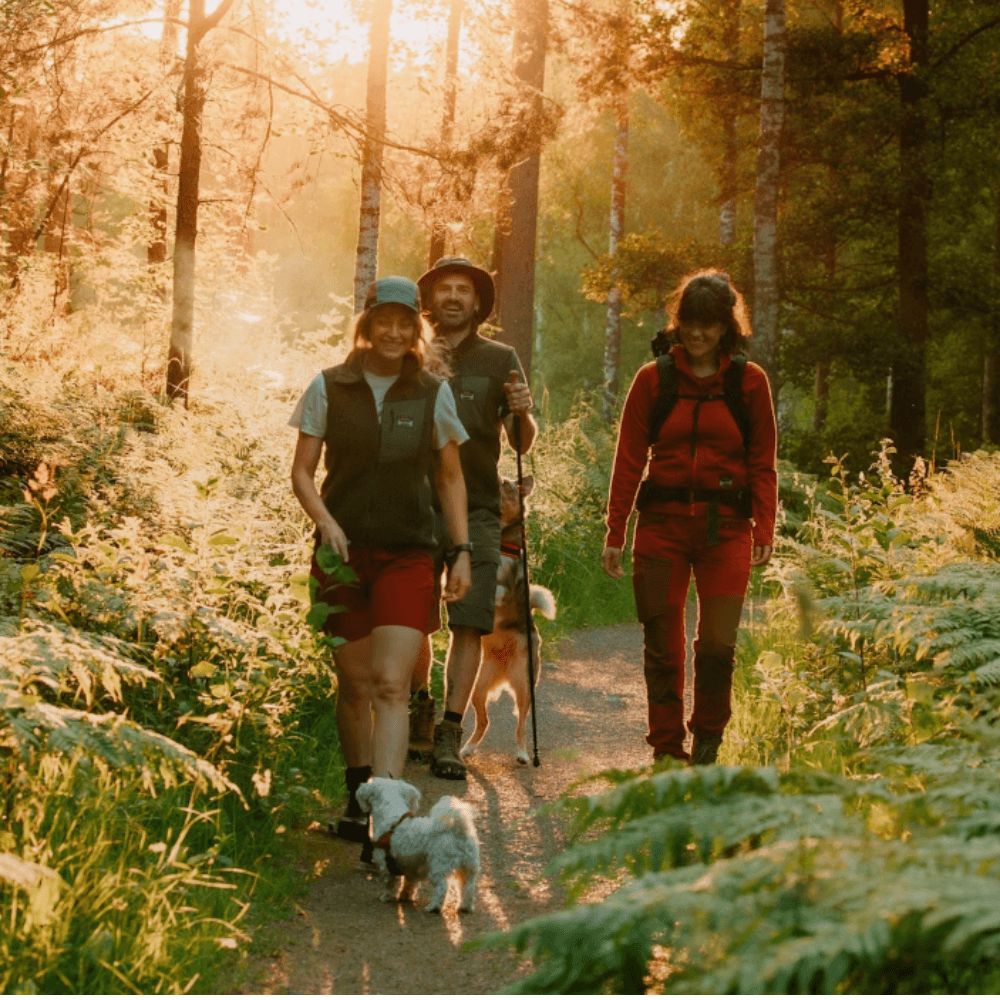 W's Flok Wool Pile Vest Forest Green, view: 4