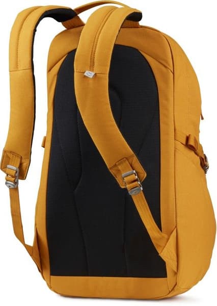 Baxen 22L Gold, view: 1