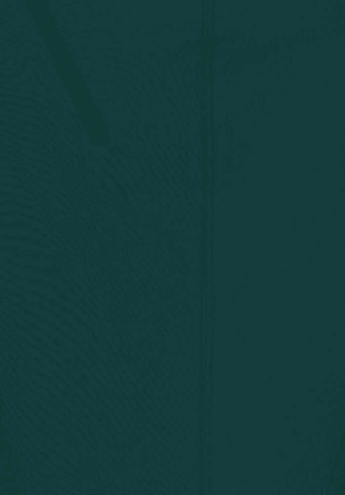 Incline AS Wmns Sagano Green, view: 2