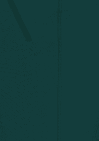 Incline AS Wmns Sagano Green - view: 2