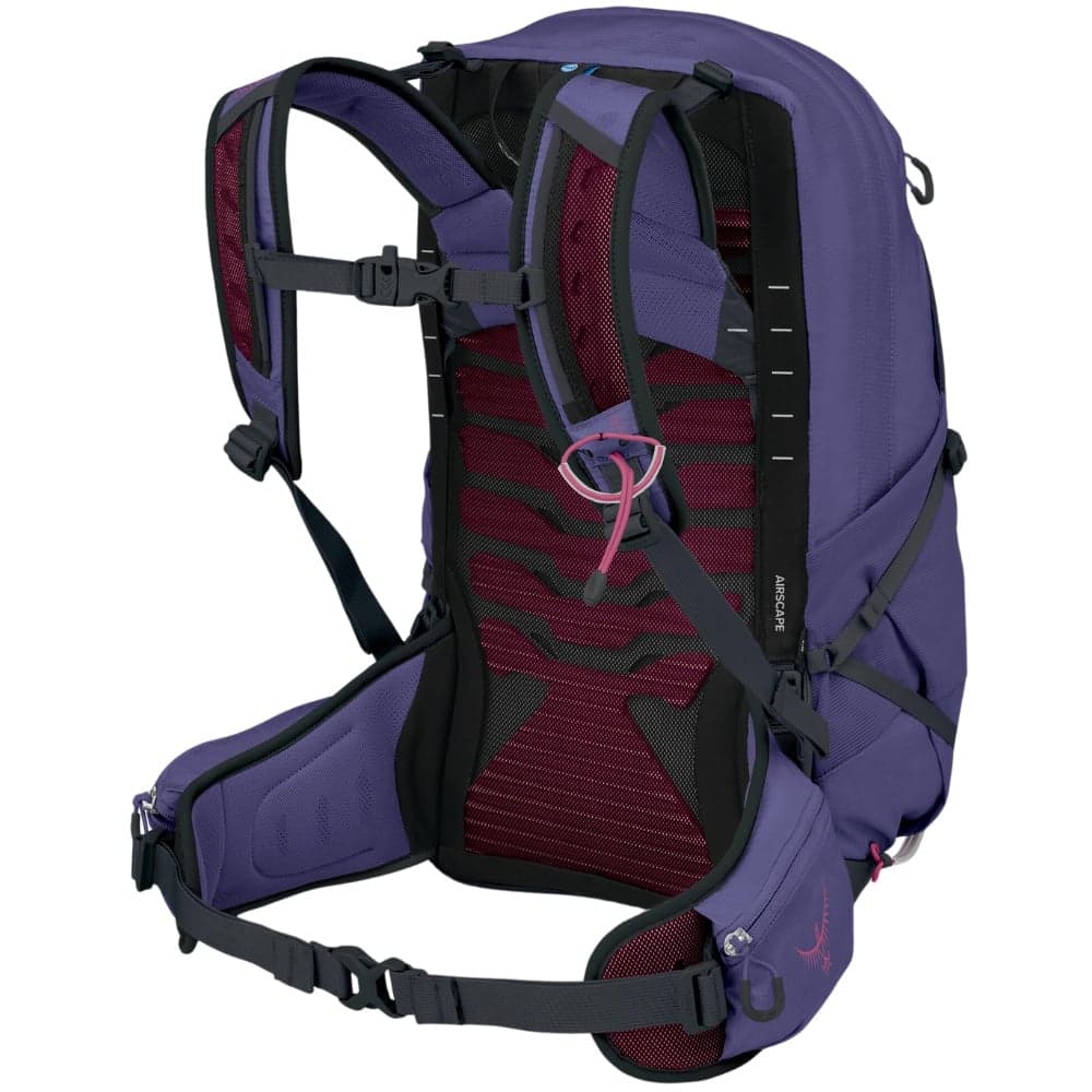 W's Tempest 22L Deep Fig/Hotspot Pink, view: 2