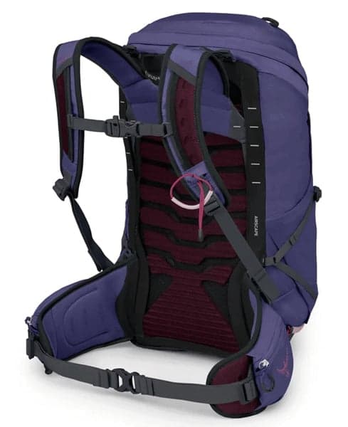 Tempest 26 Deep Fig Hotspot Pink, view: 2