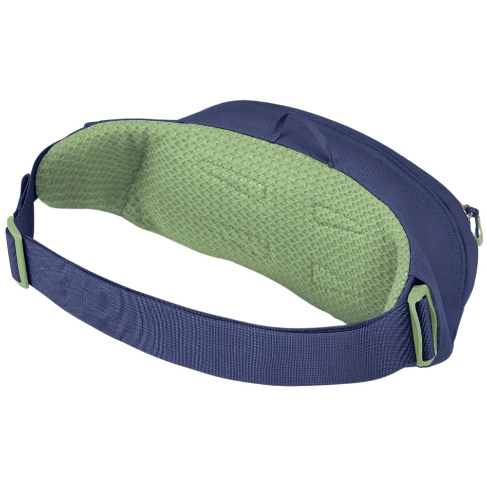 Daylite Waist Pack 2L Blue Spikemoss/Alkaline, view: 2