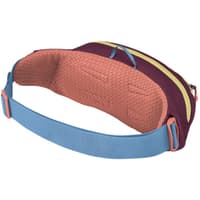 Daylite Waist Pack 2L Moody Burgundy - view: 2